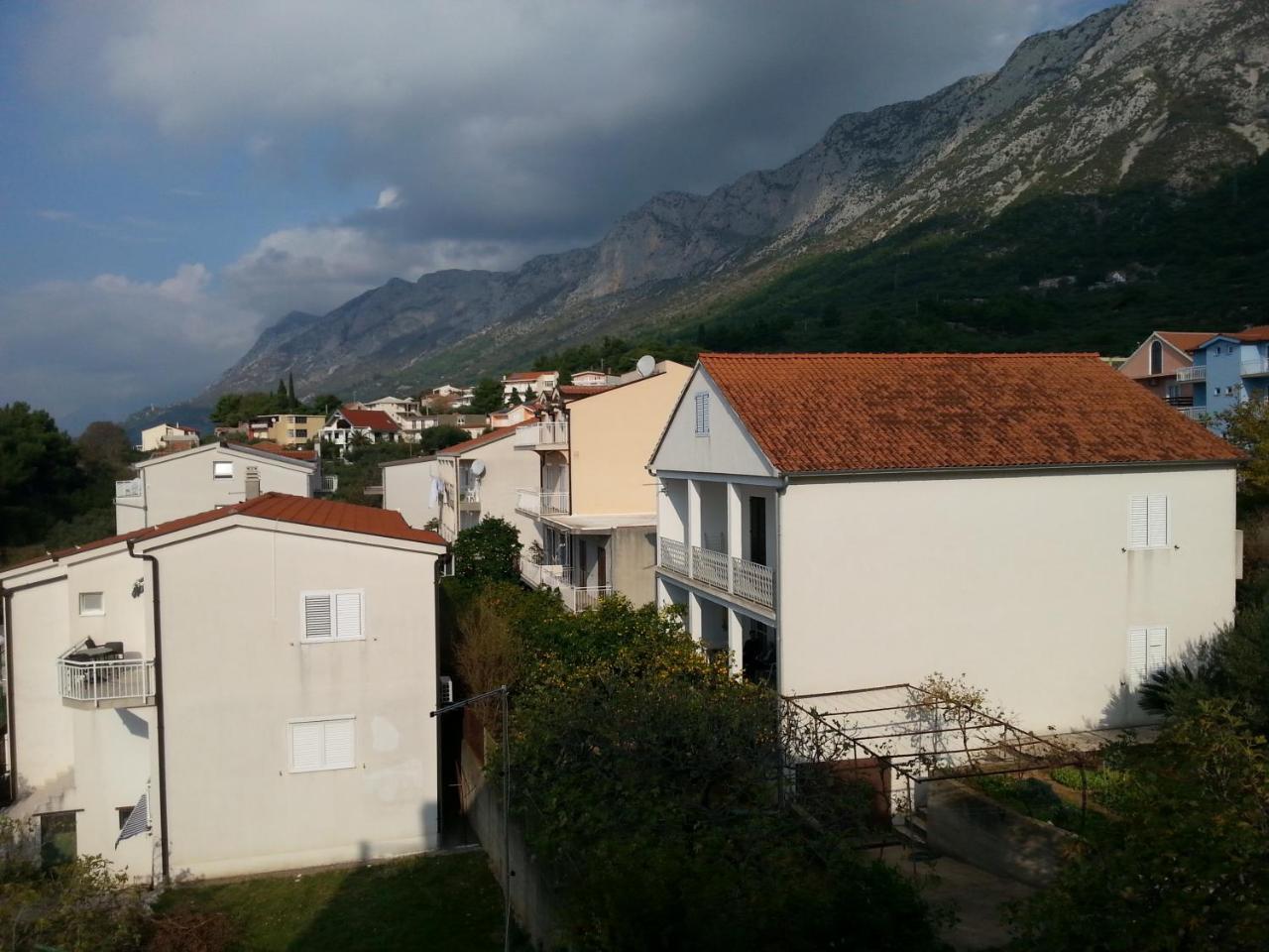 Grozdana *