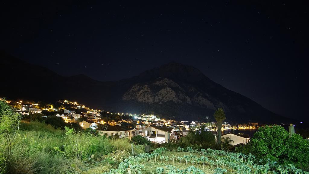 Grozdana * Gradac (Split-Dalmatia)